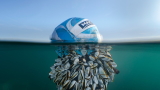 "Ocean Drifter": la foto-simbolo dell'inquinamento marino vince il British Wildlife Photography Awards