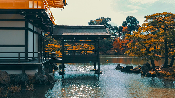 Mirrorless Full Frame Compatta Panasonic Lumix S9