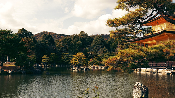 Mirrorless Full Frame Compatta Panasonic Lumix S9